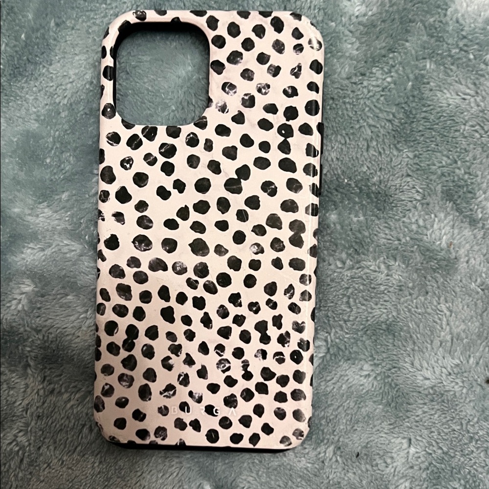 Burga case